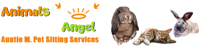 | animals-angel.co.uk | Pet Sitting Service | Angels For Animals | Chesterfield | Sheffield | Dronfield |